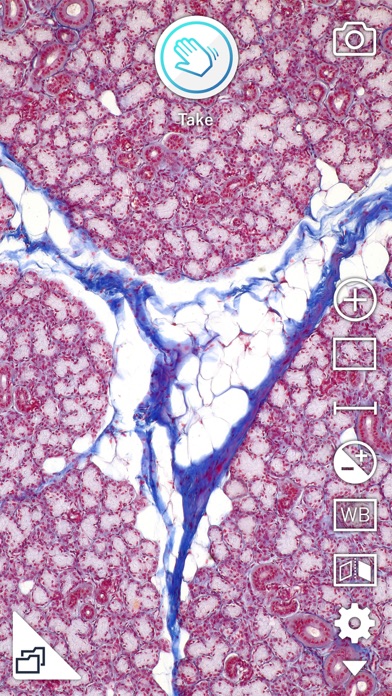i-NTER SHOT2 for microscope screenshot 1