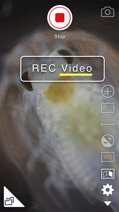 i-NTER SHOT2 for microscope screenshot 4