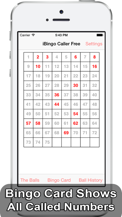 iBingo Caller Free - Play Bingo at Home with Friends! screenshot 2