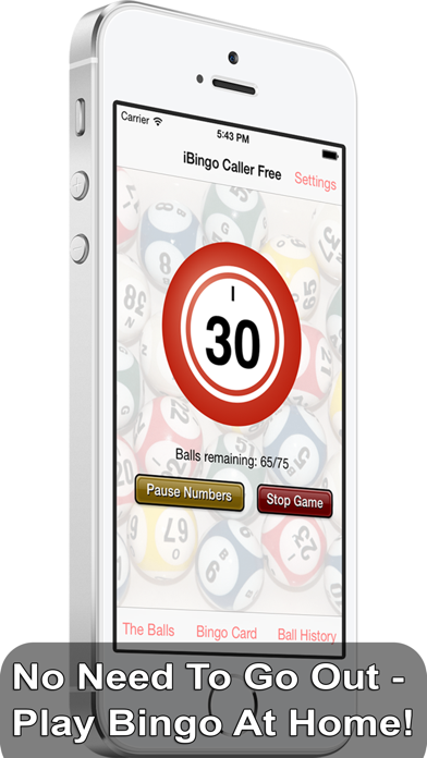 iBingo Caller Free - Play Bingo at Home with Friends! screenshot 5
