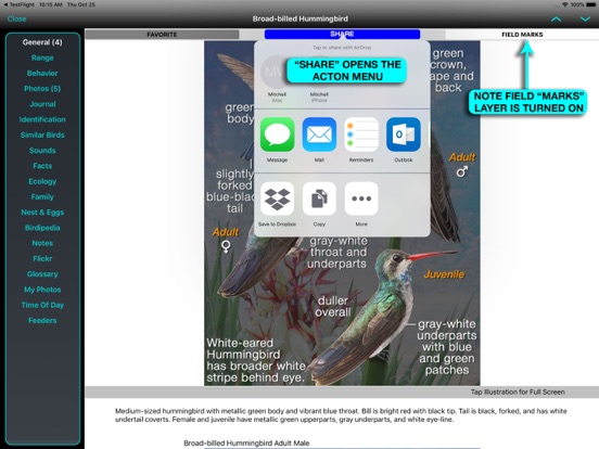 iBird Pro Guide to Birds screenshot 4