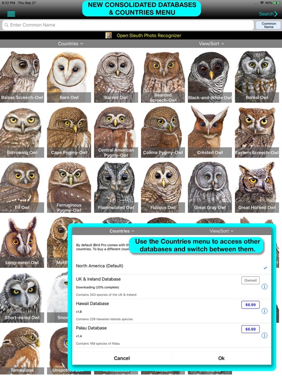 iBird Pro Guide to Birds screenshot 10