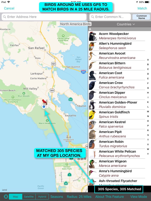 iBird Pro Guide to Birds screenshot 8