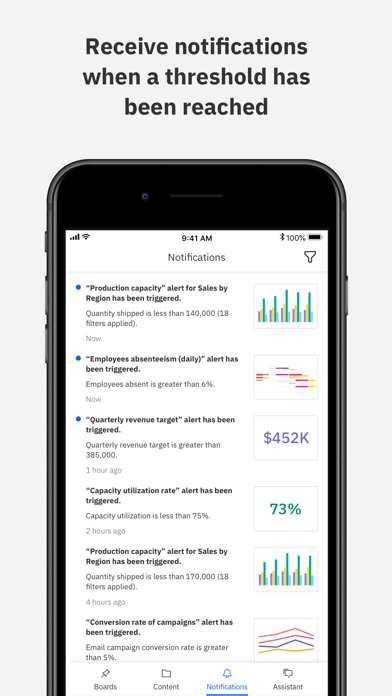 IBM Cognos Analytics screenshot 3