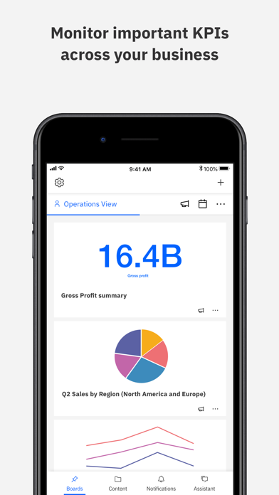 IBM Cognos Analytics screenshot 7