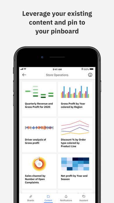 IBM Cognos Analytics screenshot 6