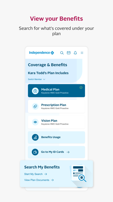 IBX screenshot 5