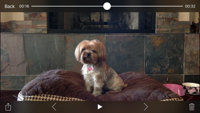 iCam Pro - Webcam Streaming screenshot 2