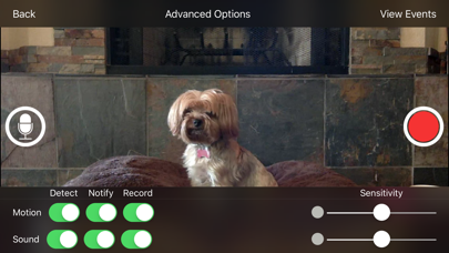 iCam Pro - Webcam Streaming screenshot 4