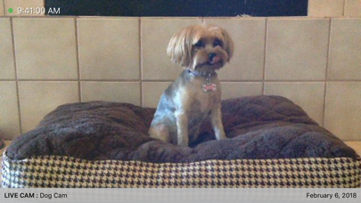 iCam - Webcam Video Streaming screenshot 4