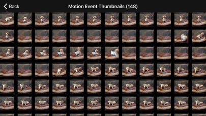 iCam - Webcam Video Streaming screenshot 1