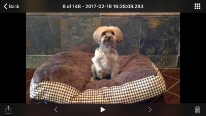 iCam - Webcam Video Streaming screenshot 2