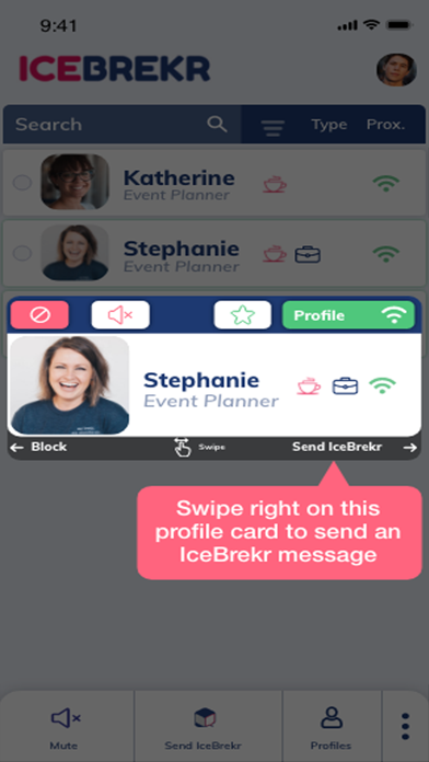 IceBrekr screenshot 5