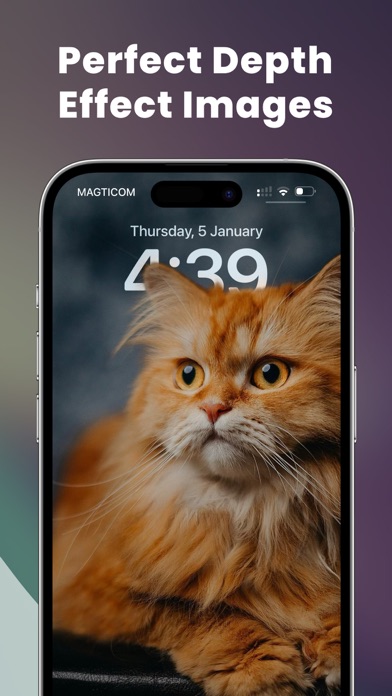 Icon Skins  & Frames screenshot 2