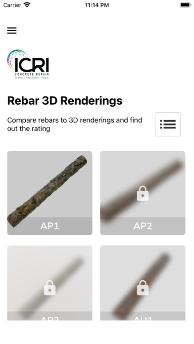 ICRI Rebar Cleanliness screenshot 4