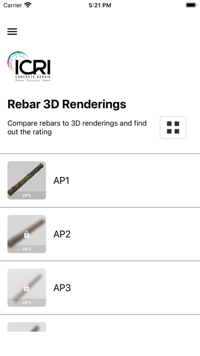 ICRI Rebar Cleanliness screenshot 1