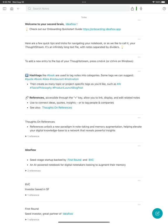 Ideaflow — Notes screenshot 1