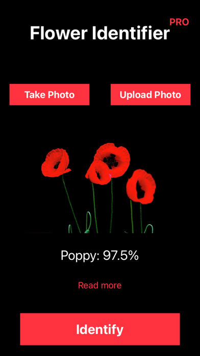Identify Flower Plant by Photo screenshot 2