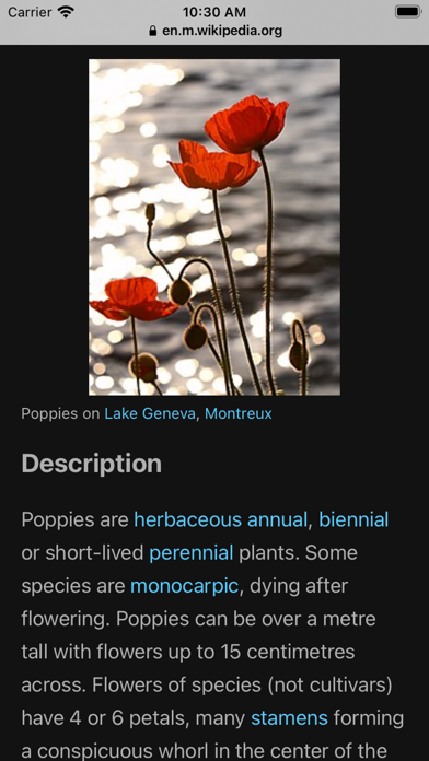 Identify Flower Plant by Photo screenshot 1
