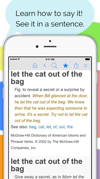 Idioms and Slang Dictionary screenshot 3