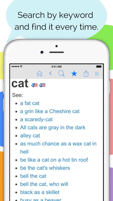 Idioms and Slang Dictionary screenshot 4