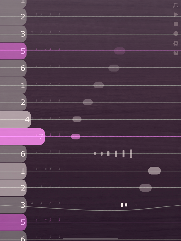 iGuzheng⁺ - Pro version screenshot 7