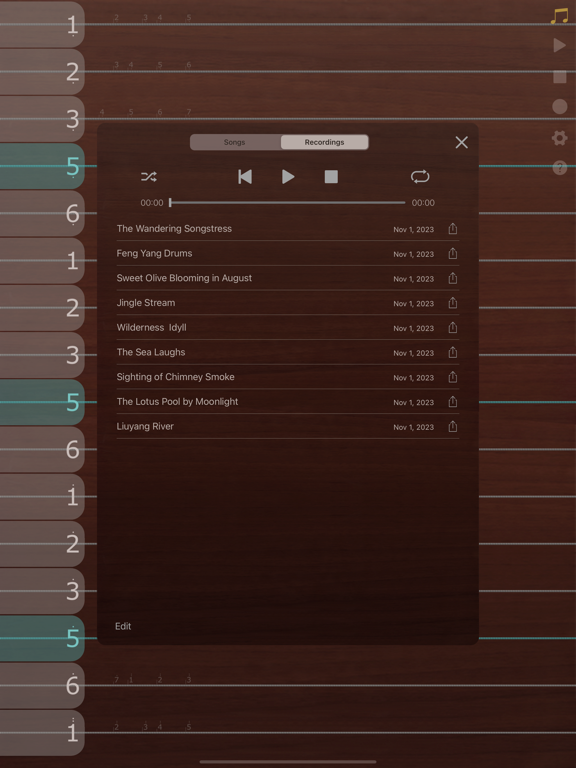 iGuzheng⁺ - Pro version screenshot 2