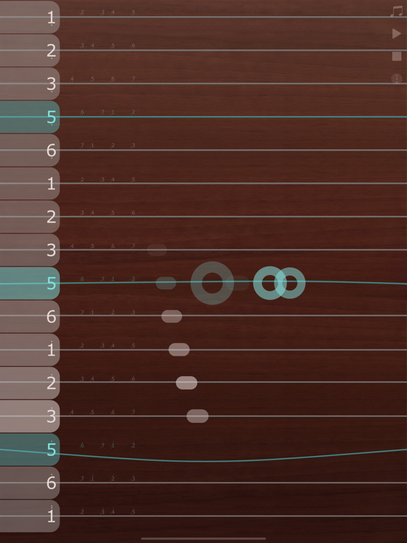 iGuzheng⁺ - Pro version screenshot 6