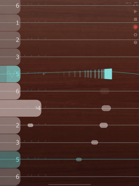 iGuzheng⁺ - Pro version screenshot 3