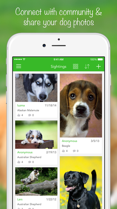iKnow Dogs: Identify Breeds screenshot 1