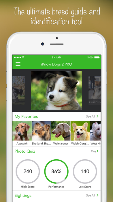 iKnow Dogs: Identify Breeds screenshot 5