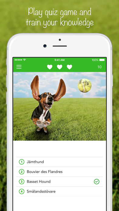 iKnow Dogs: Identify Breeds screenshot 2