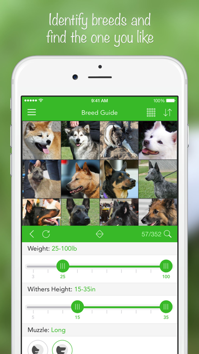 iKnow Dogs: Identify Breeds screenshot 4