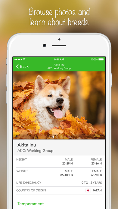 iKnow Dogs: Identify Breeds screenshot 3