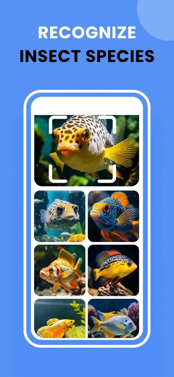 Image Recognition And Searcher screenshot 3