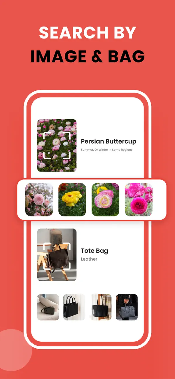 Image Recognition And Searcher screenshot 1