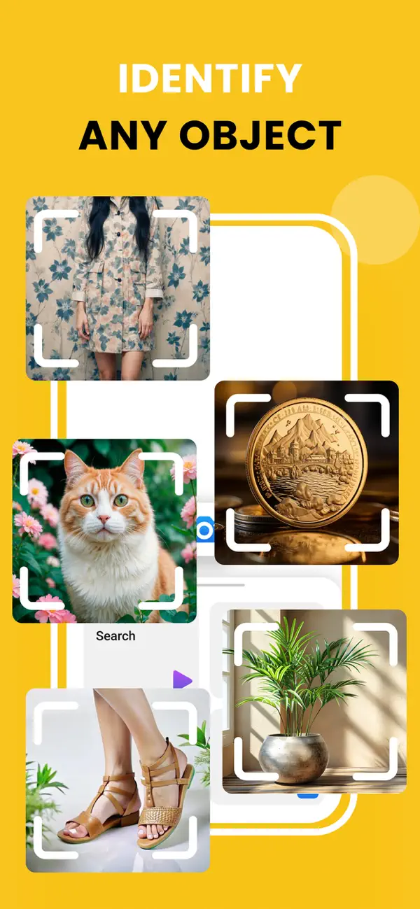 Image Recognition And Searcher screenshot 4