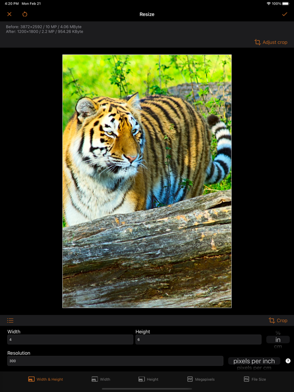 Image resizer, converter iSize screenshot 7