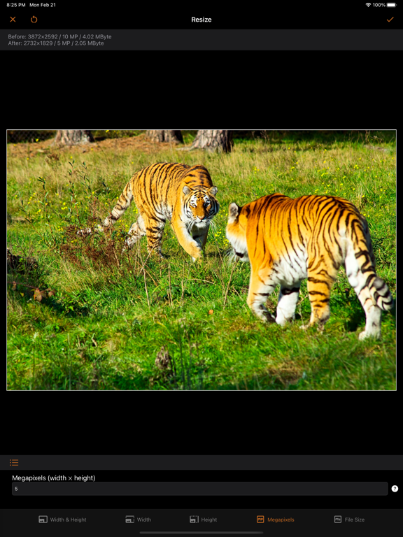 Image resizer, converter iSize screenshot 6