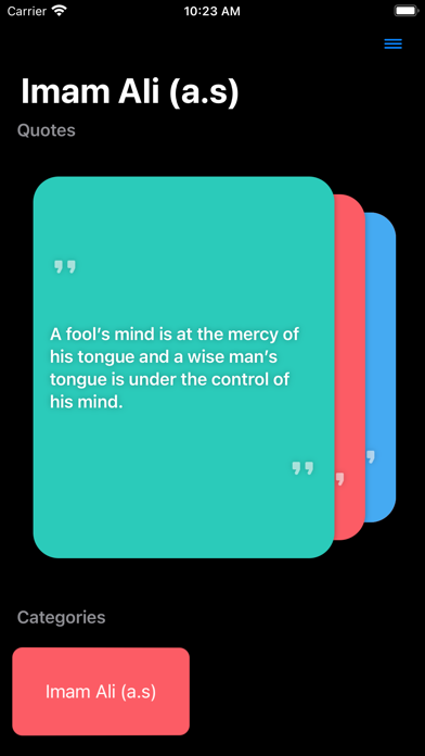 Imam Ali (a.s) screenshot 2