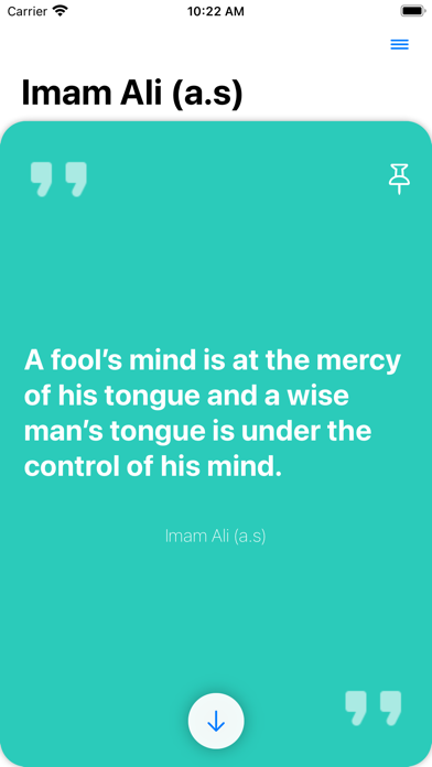 Imam Ali (a.s) screenshot 3