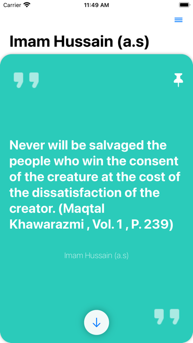 Imam Hussain (a.s) screenshot 3