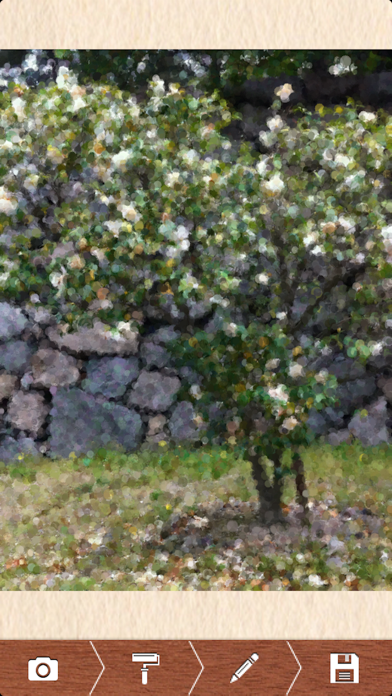 Impressionism Camera screenshot 4