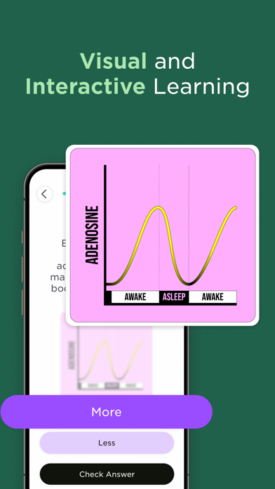 Imprint: Visual Micro Learning screenshot 8