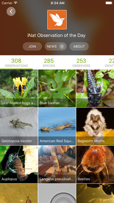 iNaturalist Classic screenshot 2