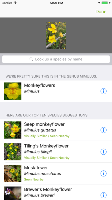 iNaturalist Classic screenshot 3