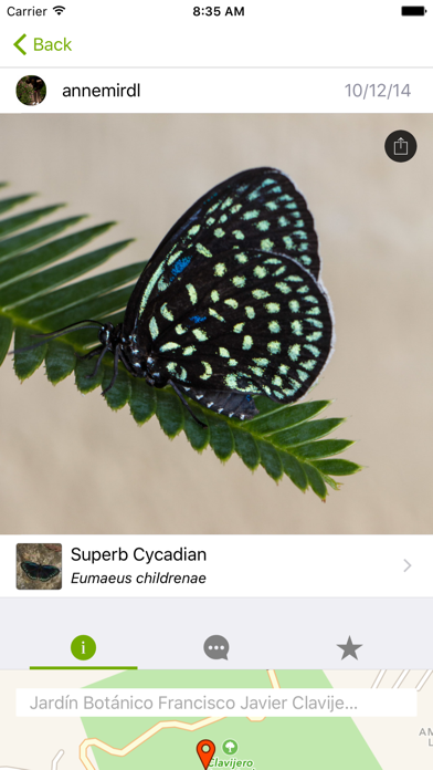 iNaturalist Classic screenshot 4