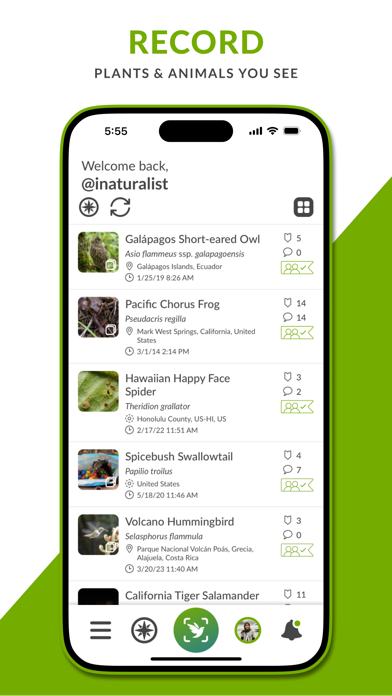 iNaturalist screenshot 3