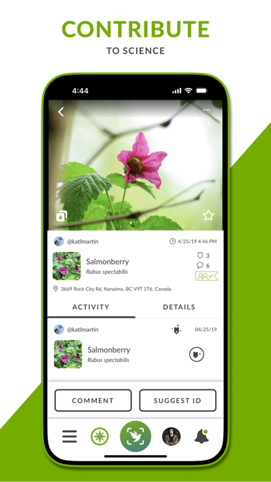 iNaturalist screenshot 5