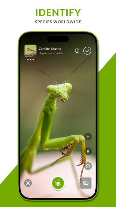 iNaturalist screenshot 7